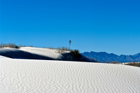 White Sands 2008-2009